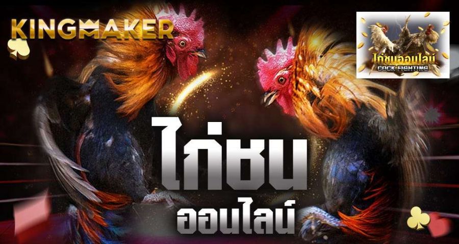 เกมยอดฮิต สังเวียนชนไก่ เกมใหม่มาแรง!! ฝาก ถอน รวดเร็ว แจกจริง จ่ายจริง